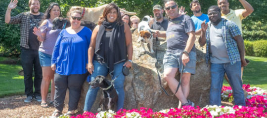 Global American staff posing outdoors around a large stone with two dogs, standing behind bright pink and white flowers in a landscaped garden