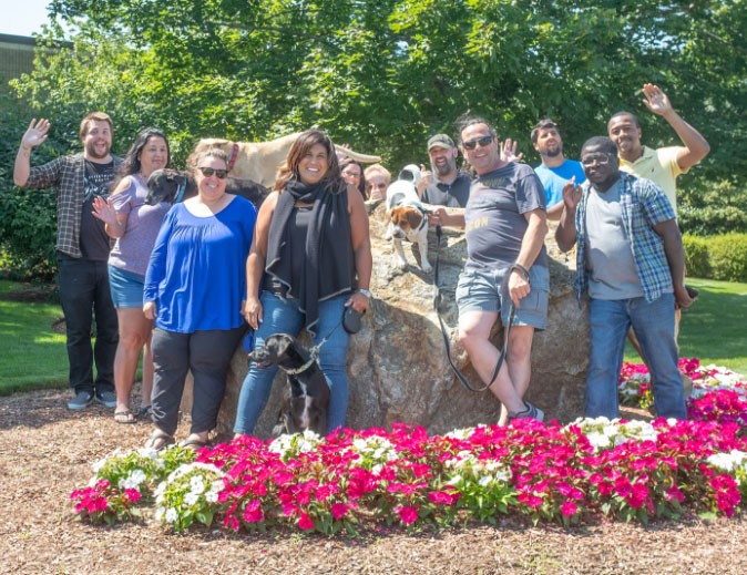 Global American staff posing outdoors around a large stone with two dogs, standing behind bright pink and white flowers in a landscaped garden